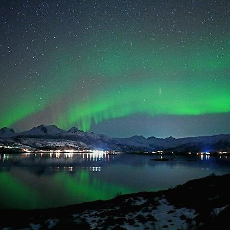 2. Etg I Dampskipsbrygga, Lodingen Havn Luaran gambar